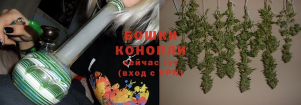 ALPHA PVP Богданович