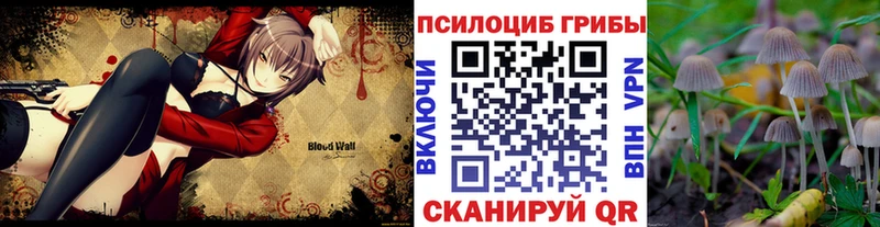 Псилоцибиновые грибы мицелий  Киров 